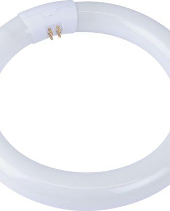 Osram F/Tube Circ 32W C/White Bx Per12