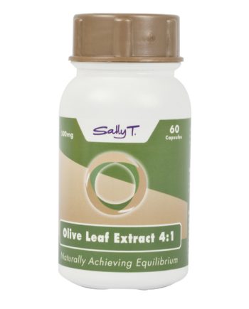 Olive Leaf 500Mg -60 Caps