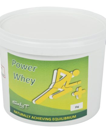 Power Whey 1Kg