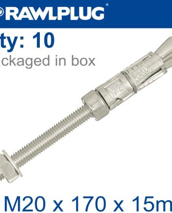 Projecting Bolt M20X170X15Mm X10 -Box