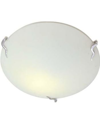 Round Ceiling Light With Snake Clips