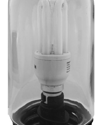 GLASS- WELL GLASS FITTING 100W WITH CFL LAMP