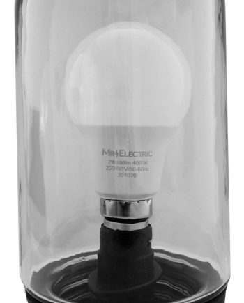 GLASS- WELL GLASS FITTING 100W WITH A60 LAMP