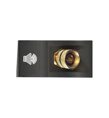 Black - Audio Module