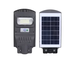 30W Econo Solar Street Light - 