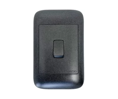 4X2 1Lever 2Way Black Switch - 