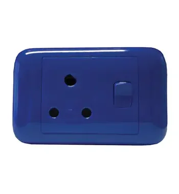 4X2 Blue Dedicated Switched Socket
