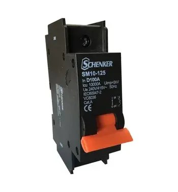 Single Pole D Curve 10kA Circuit Breaker