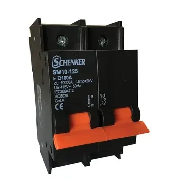 Double Pole D Curve 10kA Circuit Breaker
