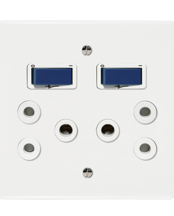 Crabtree Classic Double Isolated STD Socket 164-1 - White Double-Pole Switched