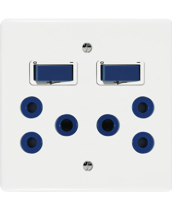 Crabtree Classic Blue Double-Pole Switched Socket 164-1