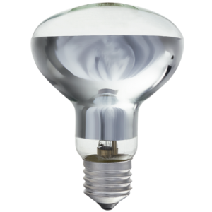 Brightstar 70W R80 Energy-Efficient Halogen Spotlight Bulb (E27 Base, 2700K Warm White)